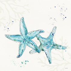 two blue starfishs in watercolor on white paper with seaweed and bubbles