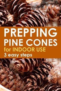 pine cones in a bowl with text overlay reading prepping pine cones for indoor use 3 easy steps