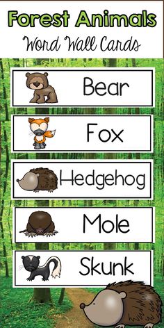 the forest animals word wall cards