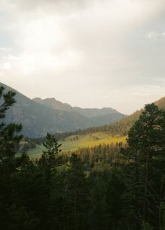 the mountains are covered with trees and grass