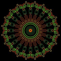 an image of a green and orange circular design on a black background in the shape of a flower