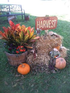 an assortment of plants and pumpkins on the grass in front of a sign that says happy harvest