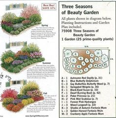 an advertisement for garden plants with instructions on how to plant them and what to use them