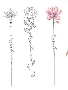 four different types of flowers are shown in this drawing