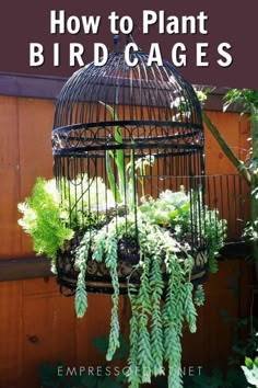 a birdcage filled with plants hanging from it's side in a garden