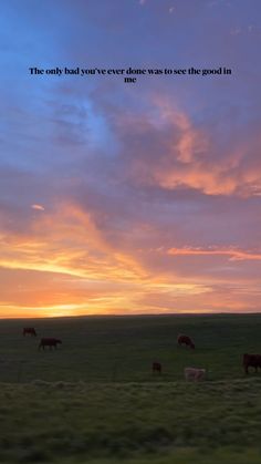 cows grazing in a field at sunset with a quote above them that reads, the only bad you've ever seen to see the good in me