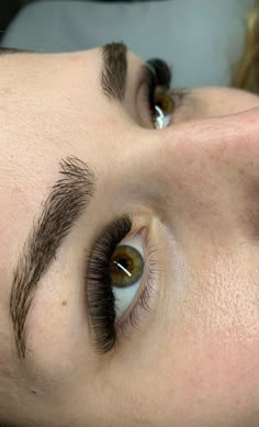 Short Volume Eyelash Extensions, Eyelash Extensions Short Volume, 11mm Lash Extensions, 8-12 Mm Lashes, Short D Curl Lash Extensions, Short Full Eyelash Extensions, Lashes Full Volume, Short Light Volume Lash Extensions, Russian Lashes Eyelash Extensions