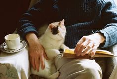 a person sitting on a chair with a book and a cat in front of them