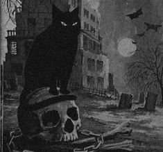 a black cat sitting on top of a skull in the middle of a graveyard with bats flying overhead