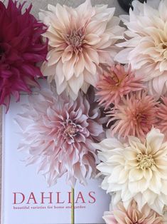 dahlias are arranged on top of a book with the word dahlias written below them