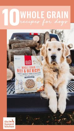 a dog sitting on the back of a pickup truck holding a bag of grain for dogs