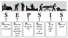 a diagram showing the stages of selves