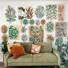 a green couch sitting in front of a wall filled with plants and succulents