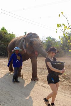 two people walking down a dirt road with an elephant in the background and another person standing next to them