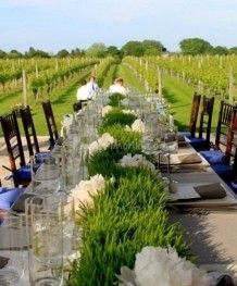 a long table is set up in the middle of a vineyard