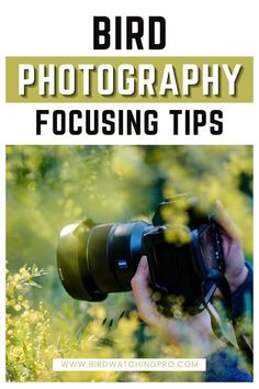 a person holding a camera with the words bird photography focusing tips