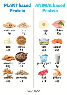 Highly Nutritious Foods, Height Protein Food, Food With Protein List Of, Low Calorie High Nutrient Meals, Foods High In Good Fats, Food Full Of Protein, High Quality Protein Foods, Protein Meals Cheap, High Protine Food List Veg