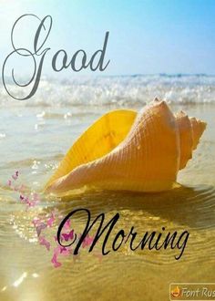 an image of a seashell on the beach saying good morning