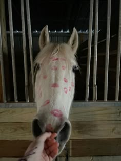 a person is petting a white horse's head with pink spots on it