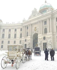 a horse drawn carriage is parked in front of a large building on a snowy day