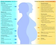 the different stages of breastfeeding