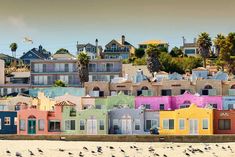 a group of birds standing on top of a sandy beach next to colorful buildings and palm trees