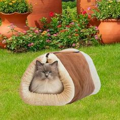 a cat is laying in a pet bed on the grass near some potted plants