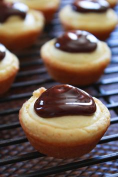 there are many cupcakes with chocolate icing on them sitting on the rack