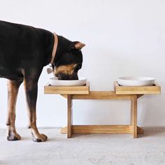 a dog eating out of a bowl on top of a wooden table next to a white wall