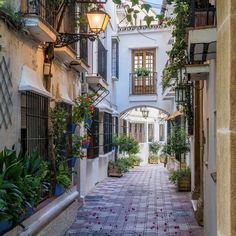 an alleyway with potted plants and hanging lights on the side of each building