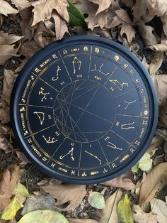 a black and gold astro wheel on the ground surrounded by leaves, grass and plants