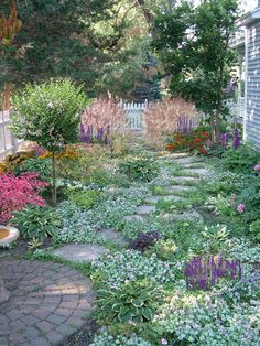 a garden with lots of different flowers and plants in the area next to the house