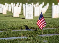 an american flag is placed in the grass next to headstones and gravestones