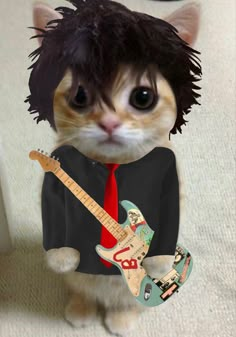 a cat wearing a shirt and tie with a guitar