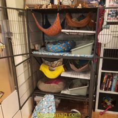 a bird cage filled with lots of birds in it's storage area next to bookshelves