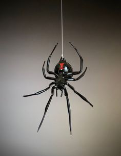 a large black spider hanging from a wire