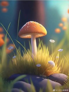 a mushroom sitting on top of a lush green field