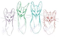 four different colored cats are shown in the same drawing style as each one's head