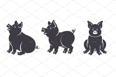 three black pig silhouettes on a white background, one is standing and the other is sitting