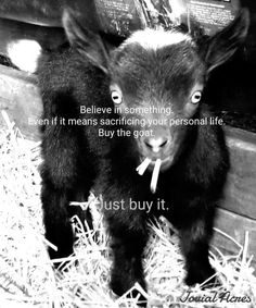 a black and white photo of a baby goat with an inspirational quote on it's side