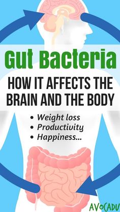 Why your gut health matters and how to heal your leaky gut to lose weight | http://avocadu.com/gut-bacteria-affects-brain-body/ Cleanse Gut, Clean Program, Gut Brain, Simple Nutrition, Health Heal, Gut Bacteria, Gut Healing, Leaky Gut, Diet Motivation