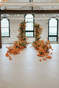 orange flowers are arranged in the middle of an empty room with two large windows on either side