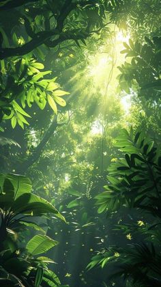 the sun is shining through the trees in the jungle