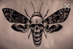 a black and white drawing of a butterfly skull