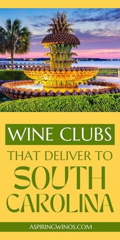 the cover of wine clubs that deliver to south carolina, featuring a fountain and palm trees