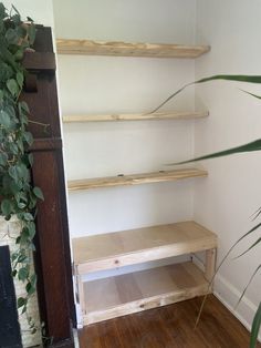 a wooden shelf sitting on top of a hard wood floor next to a potted plant