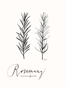 two black and white drawings of trees with the words rosemary written in cursive writing