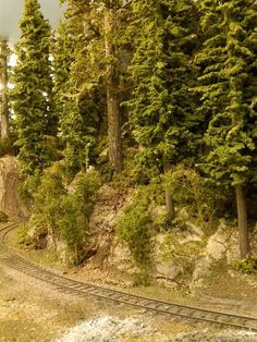 a train traveling through a forest filled with lots of tall green trees and dirt road