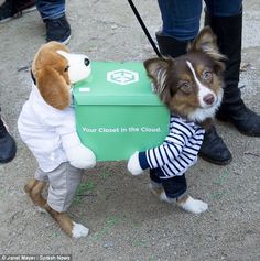 two dogs dressed in clothes standing next to each other and one is holding a green box