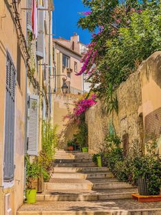 an alleyway with steps leading up to buildings and flowers growing on the side walls